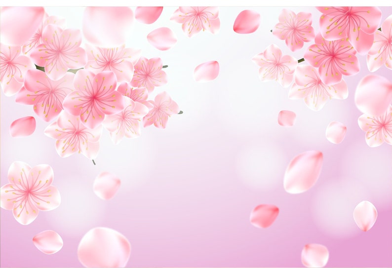 May include: Pink cherry blossoms with petals falling on a light pink background.