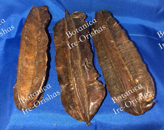 3 Adidan Aira Ashe de Santo Aira Pod  religion Yoruba ifa santeria