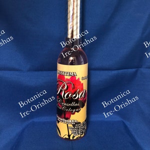 Colonia Cologne Rosa, Rose religion YORUBA IFA SANTERIA