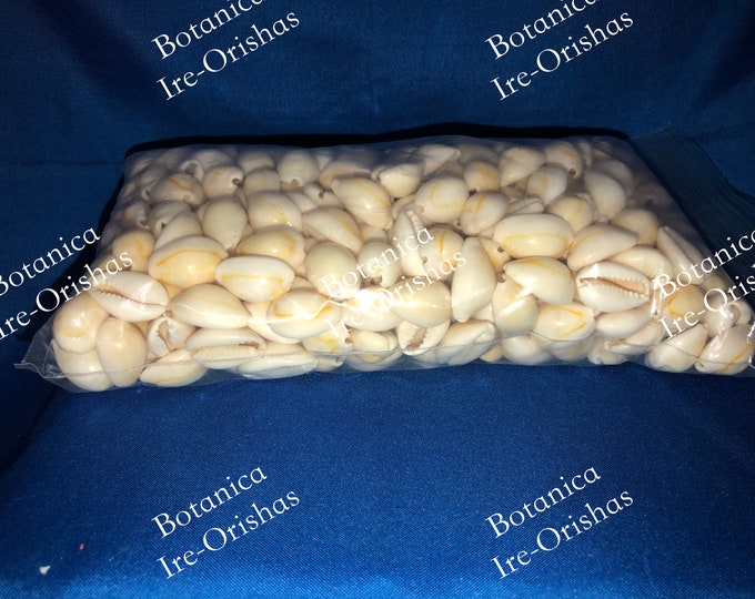Bolsa de caracoles diloggun dilogun couriers cerrado closed 1LBS  religion yoruba ifa santeria