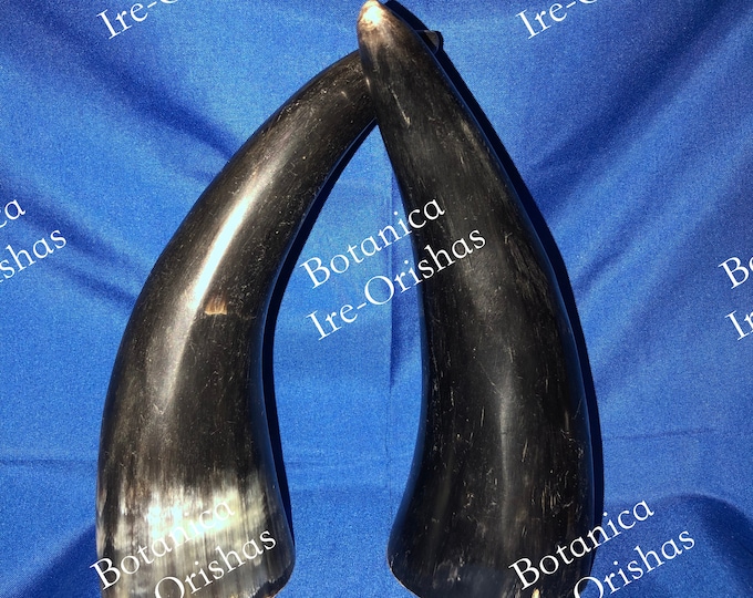 Empaca Tarros Vititis Cuerno / Stuffed Horn Antlers