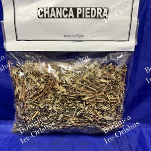 Chanca Piedra planta Herb