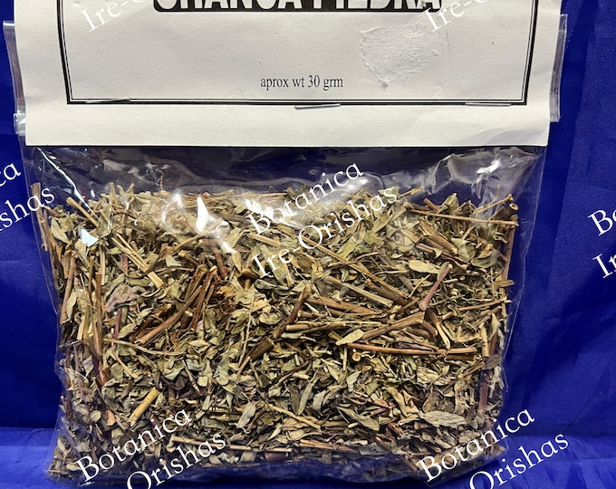 Chanca Piedra planta Herb