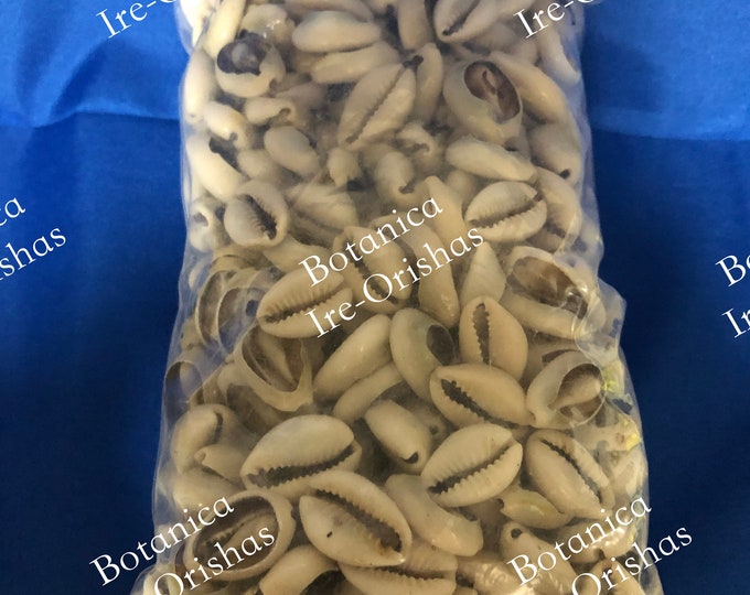 Bolsa de caracoles diloggun dilogun couriers abiertos open 1LBS  religion yoruba ifa santeria