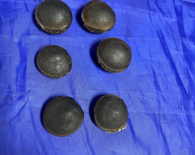 EPE bulls eye seed (6), semilla de Ojo de Buey religion yoruba ifa orunmila