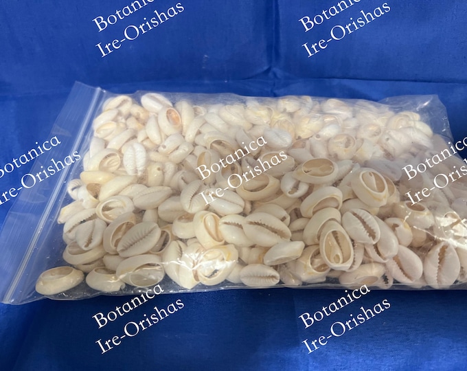 Bolsa de caracoles diloggun dilogun couriers abierto open 1LB  religion yoruba ifa santeria