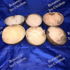 Jicaras de moyugba chiquita yoruba santeria orula