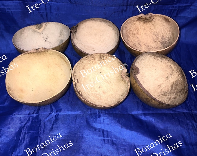 Jicaras de moyugba chiquita yoruba santeria orula