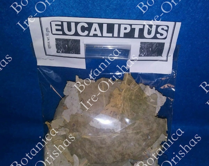 Hoja de Eucalipto/Eucalyptus 1 oz Dried Plant/Hierba RELIGION YORUBA IFA