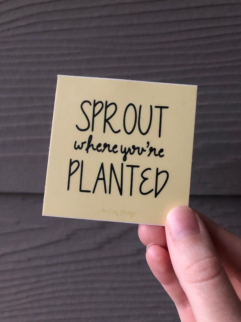 Sprout Where You/'re Planted Sticker
