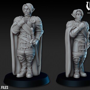 Général de l&#39;armée PNJ 28 mm ou 32 mm D&D miniature imprimée en résine 3D Donjons et dragons Pathfinder mini-personnage de jeu de rôle Vae Victis