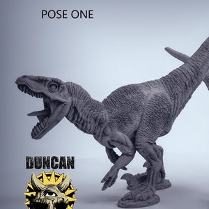 Velociraptor 3D Resin Printed Miniature D&D Dungeons and Dragons DnD Pathfinder Duncan &quot;Shadow&quot; Louca Tabletop Display or RPG Dinosaur