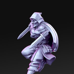 Wiltram Stealthy Rogue W/ Daggers D&D 3D Resin Printed 32mm / 28mm Miniature Dungeons Dragons DnD Pathfinder Tabletop Display RPG RN Estudio