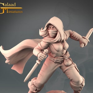 Deadly Female Rogue Thief Miniature 32mm 28mm Resin Miniature Dungeons and Dragons Pathfinder Tabletop Mini for Display RPG Into the Woods