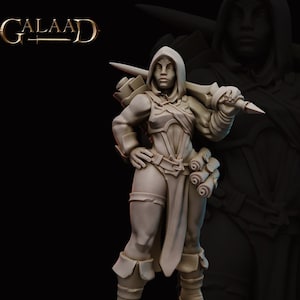 Female Human Battlemage Fighter 28mm 32mm 54mm Resin Miniature Dungeons and Dragons Pathfinder Tabletop Galaad Minis Display D&D Pathfinder