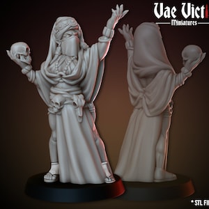 Desert Shaman NPC 28mm or 32mm D&D 3D Resin Printed Miniature Dungeons and Dragons Pathfinder Tabletop Roleplaying Vae Victis Mini Character