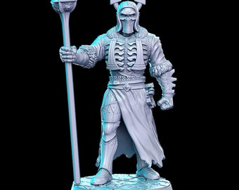 Anthieriel Elven Death Knight D&D Resin Printed 32mm / 28mm Miniature Dungeons Dragons DnD Pathfinder Tabletop Display Witchman 3 RN Estudio