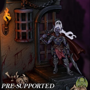 May include: A miniature fantasy figure of a female warrior with a sword, clad in armor and a cape, stands before a dungeon gate. The scene includes a torch, a cage, and the text "PRE-SUPPORTED". The color palette is dark with shades of purple, red, and gray.