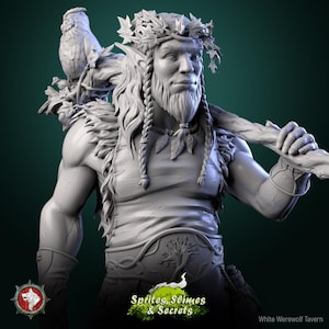 Helreginn Thornward Druida 28 mm 32 mm 75 mm D&D Resina Miniatura Dungeons and Dragons Pathfinder RPG Lobisomem Branco Taverna Sprites
