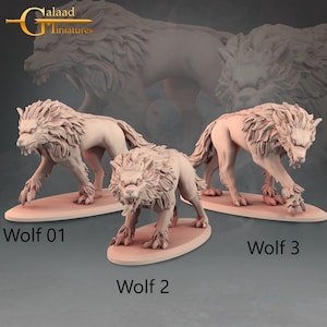 Wild Wolves Minis 32mm 28mm Resin Miniature Dungeons and Dragons Pathfinder Tabletop Wolf or Werewolf Figures Display RPG Into the Woods