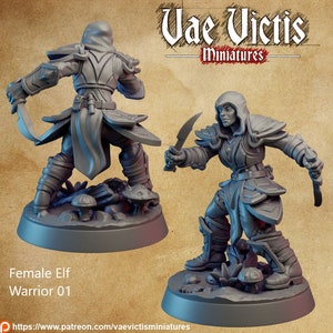 Female Elf Warriors 28mm 32mm D&D Resin Miniature Dungeons and Dragons Pathfinder Tabletop Roleplaying Vae Victis Guardians of the Woods