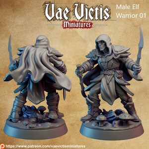 May include: A grey plastic miniature of a male elf warrior, holding a dagger in one hand and a sword in the other. The miniature is wearing a hooded cloak and armor. The miniature is standing on a round base with a textured surface.