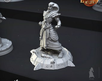 Mummy King Undead Pharaoh Mini D&D Resin 28mm 32mm Miniatures Dungeons and Dragons Pathfinder Tabletop Display Cast N Play Echoes of Life