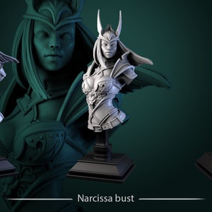 Assassin Narcissa Bust Resin Minis D&D Dungeons and Dragons Pathfinder DnD Tabletop Display RPG White Werewolf Tavern Order of Golden Fury