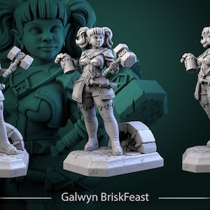 Galwyn BriskFeast Warrior 28mm or 32mm D&D Resin Miniature Dungeons and Dragons Pathfinder RPG Roleplaying White Werewolf Tavern The Forge
