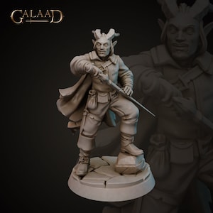 Duelist Tiefling Infernal Swordsman 32mm 28mm Resin Miniature Dungeons and Dragons Pathfinder Tabletop Galaad Miniatures Display Tieflings