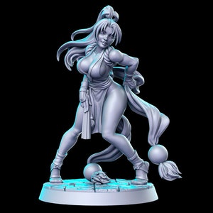 May Sheer Fighter 28mm or 32mm D&D Resin Miniature Dungeons and Dragons Pathfinder RPG Roleplaying RN Estudios Minis Anime Series Vol.4