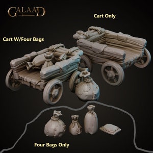 Wózek i torby Scatter 32 mm 28 mm Żywiczne miniatury Dungeons and Dragons Pathfinder Tabletop Galaad Miniatures Display Bandits