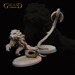 Ilusão feitiços tigre e falcão 28mm 32mm 54mm resina miniatura masmorras e dragões pathfinder mesa galad minis d & d pathfinder