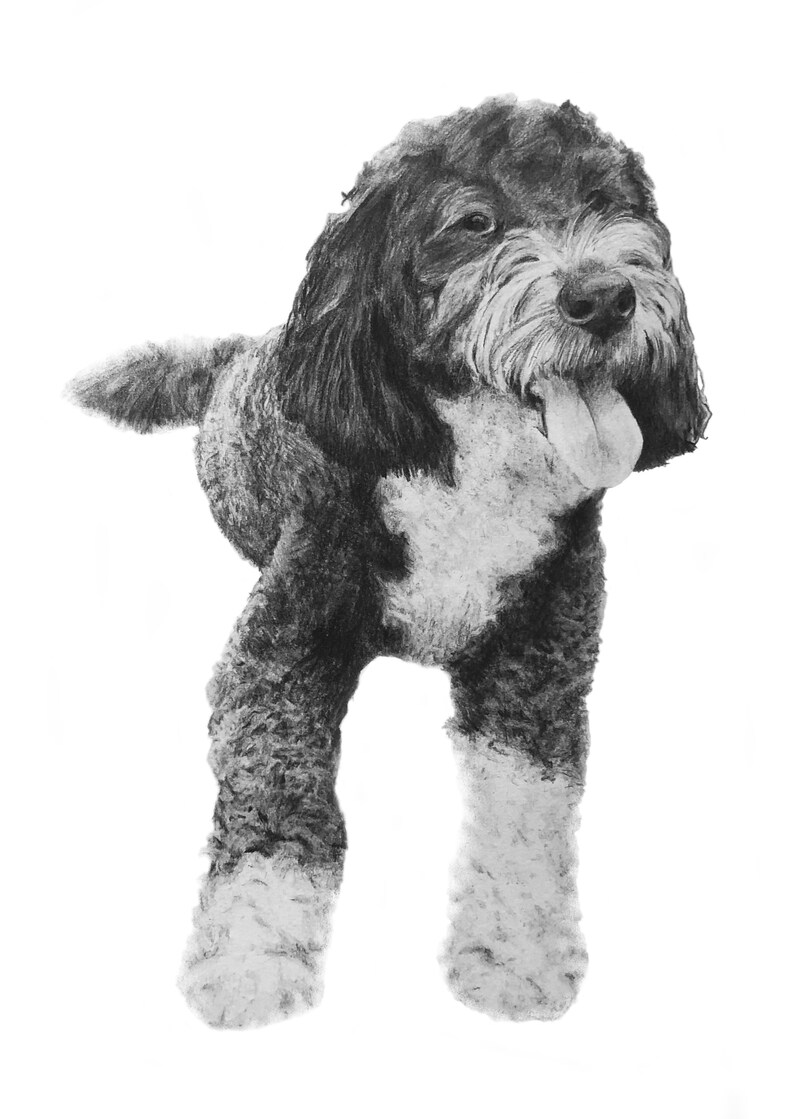 Medium Custom Pet Portrait
