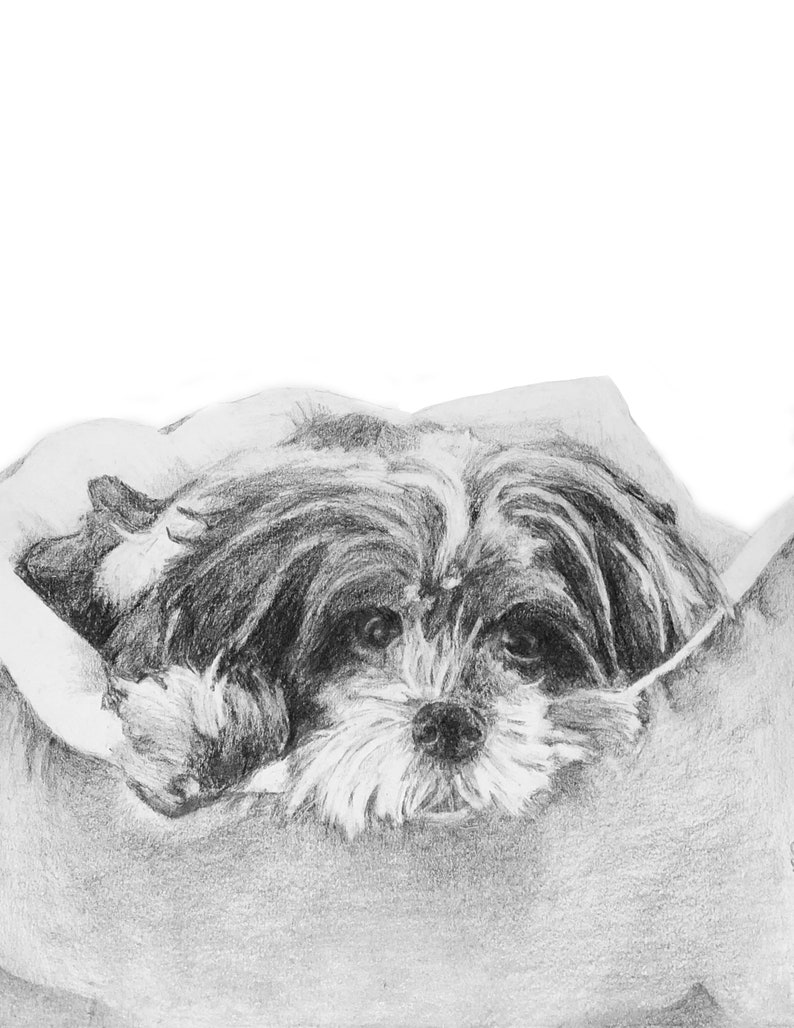 Medium Custom Pet Portrait