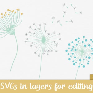 May include: Three dandelion illustrations in different styles. One dandelion has yellow and green seeds, another has gray seeds, and the third has blue seeds. The dandelion with gray seeds has a long stem, while the other two dandelions have short stems.