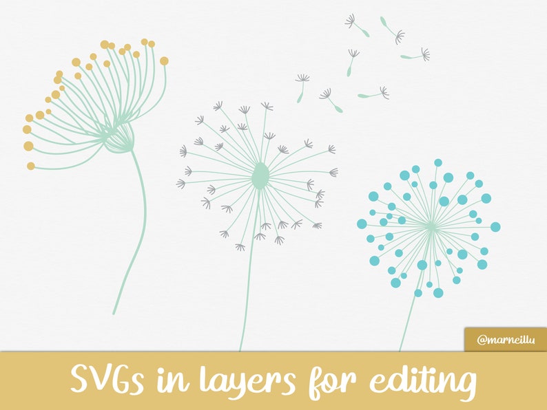 May include: Three dandelion illustrations in different styles. One dandelion has yellow and green seeds, another has gray seeds, and the third has blue seeds. The dandelion with gray seeds has a long stem, while the other two dandelions have short stems.