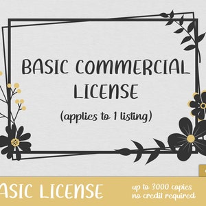 Commerciële basislicentie