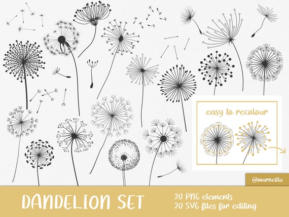 Dandelion SVG, wildflower bundle, dandelion png, floral stickers, dandelion clipart, wildflower print