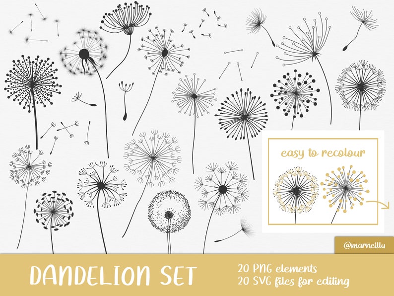 May include: A set of 20 black and white dandelion illustrations, including both closed and open flowers, as well as seeds blowing in the wind. The illustrations are easy to recolor and are available in both PNG and SVG formats.