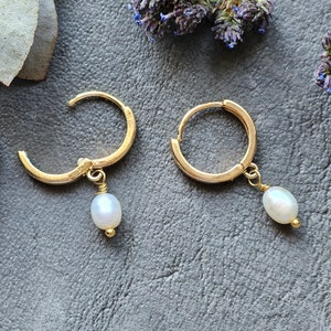 Pearly Drop Earrings - Golden gold-plated earrings with high-quality freshwater pearls for an elegant look - perfect gift for her!