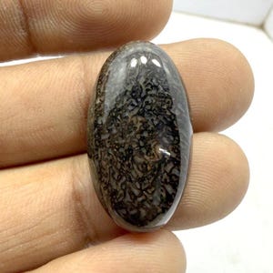 Puede incluir: Una piedra preciosa ovalada con un interior con patrones marrón oscuro y negro. La superficie pulida refleja la luz, resaltando el intrincado diseño similar a un fósil dentro de la piedra. La piedra preciosa se sostiene en una mano.
