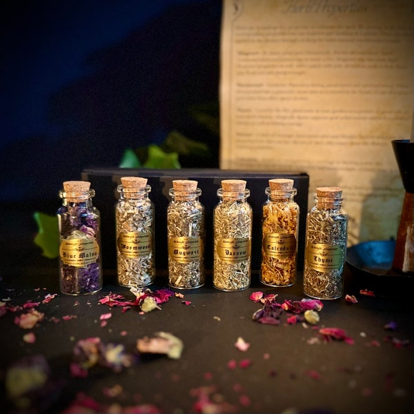 Herb vial box set - set of 6 botanicals in glass vials with cork tops | Magic herbs | Witch herbs | witch gift | Midnight Imperium
