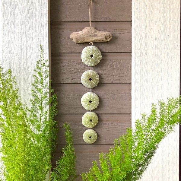 Windswept-Driftwood/Sea Urchin Wall Hanging/Mobile/Suncatcher/Windchime w/Natural Green Sea Urchins. Indoor/Porch Wall Decor- 17.5" long