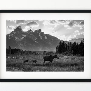 Moose, Wildlife, Moose Family, Mountain Scene, Black and White, Animal Photography, Nature Photography, Landscape Photography, Grand Teton