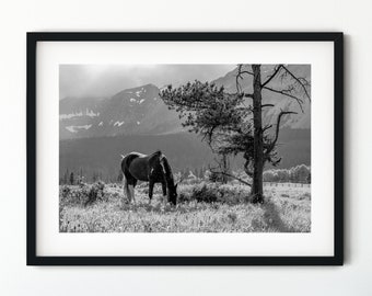 Glacier National Park Horse Scene, Mountains, black and white, western, landscape, print, photography