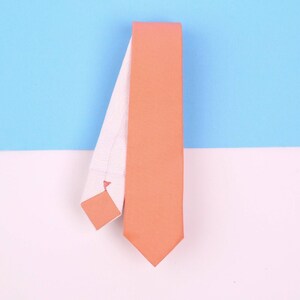Coral Necktie, Homemade, Neckties, Mens Clothing, Ties, Groomsmen, Weddings, 2020 Ties - Simplicity Collection