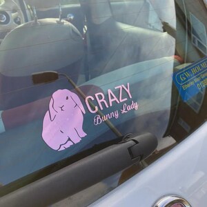 Pode incluir: Um autocolante rosa num vidro de carro apresenta um coelho de desenho animado e as palavras "CRAZY Bunny Lady". O autocolante &eacute; um item decorativo, provavelmente para um ve&iacute;culo, mostrando amor por coelhos.