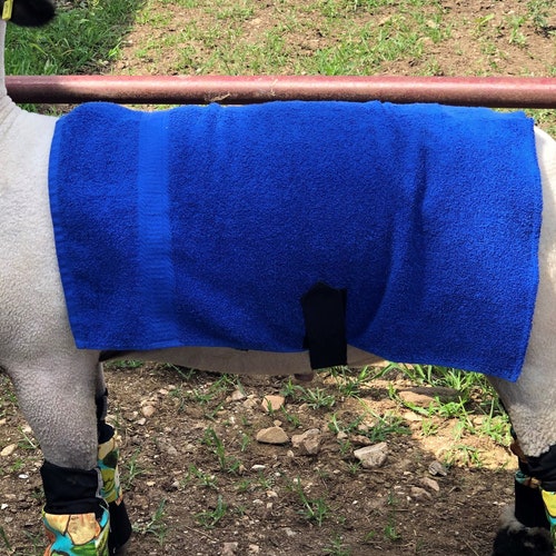 Lamb Cooling Show Towel Etsy