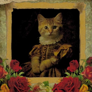 Biglietto gattino / Biglietto vittoriano / Biglietto di auguri / Biglietto sentimentale / Biglietto floreale / Biglietto vintage / Biglietto di curiosità / Biglietto surreale / Biglietto gatto